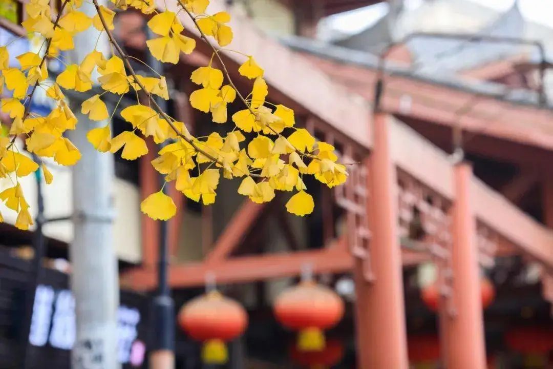 心若安然的诗句,岁月静好内心安然的诗词