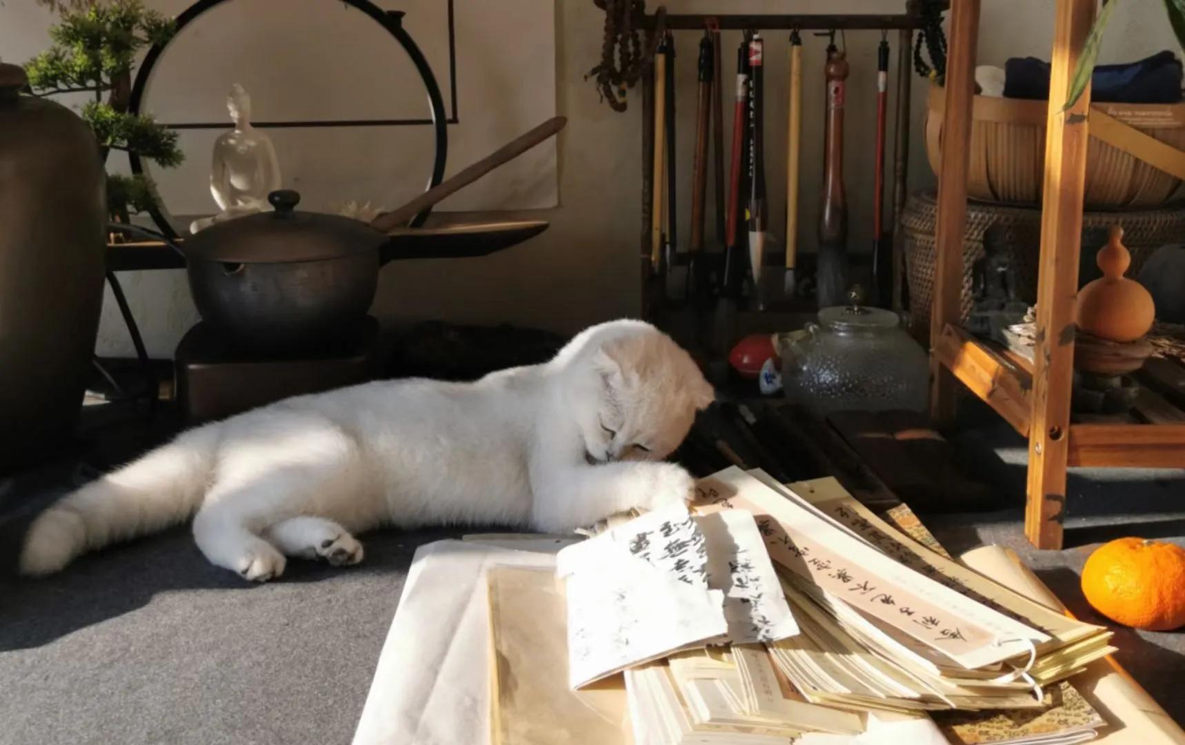 人生如棋走好属于你的那一步,人生如棋局每走一步不许回头