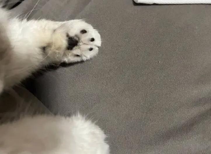 腋窝长了硬块是艾滋病吗,腋下有肿块有可能是艾滋病吗