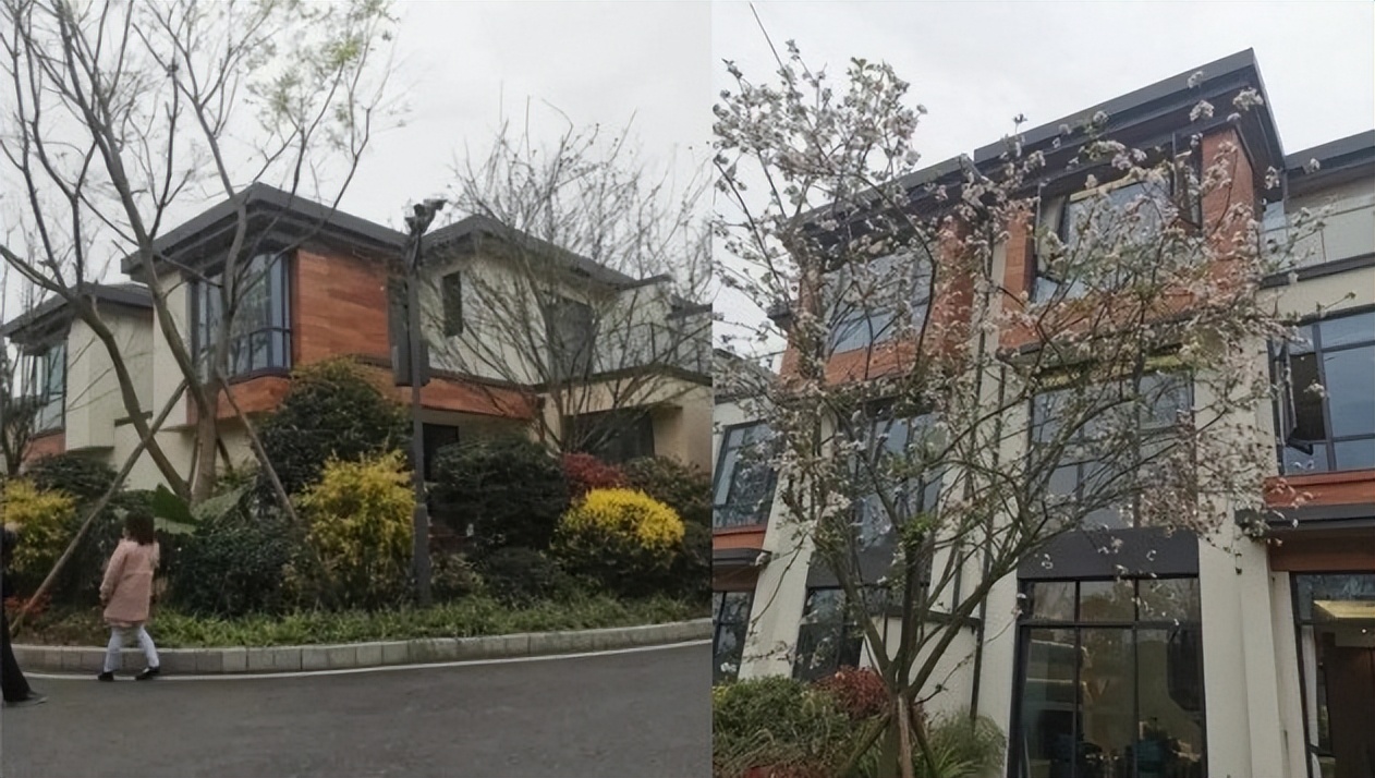 空壳太太张嘉倪,张嘉倪现状秦岚