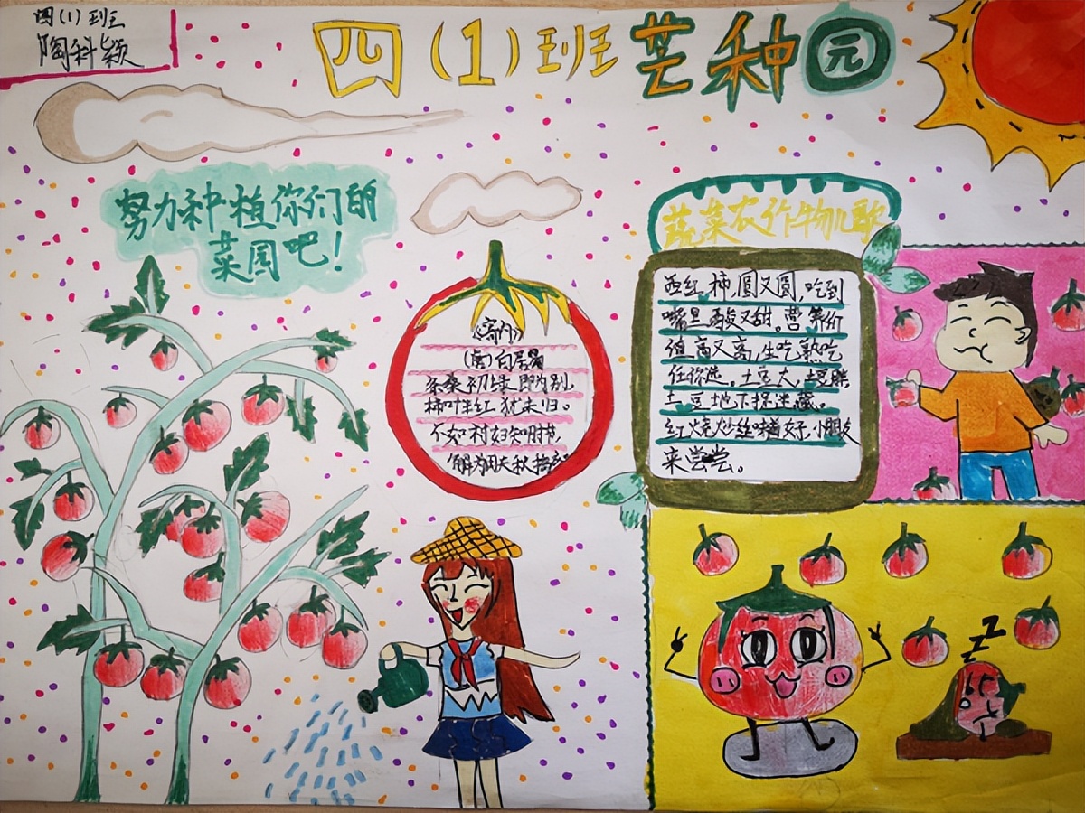 合肥市五一小学:开心耕耘田园幸福“芒种”收获