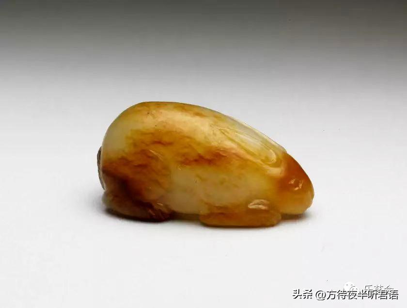 兔年说兔第一段在文中有何作用,兔年说兔说明文