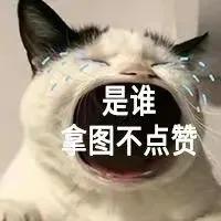 轻轻敲醒沉睡的心灵表情包全套,表情包轻轻敲醒沉睡的心灵全套