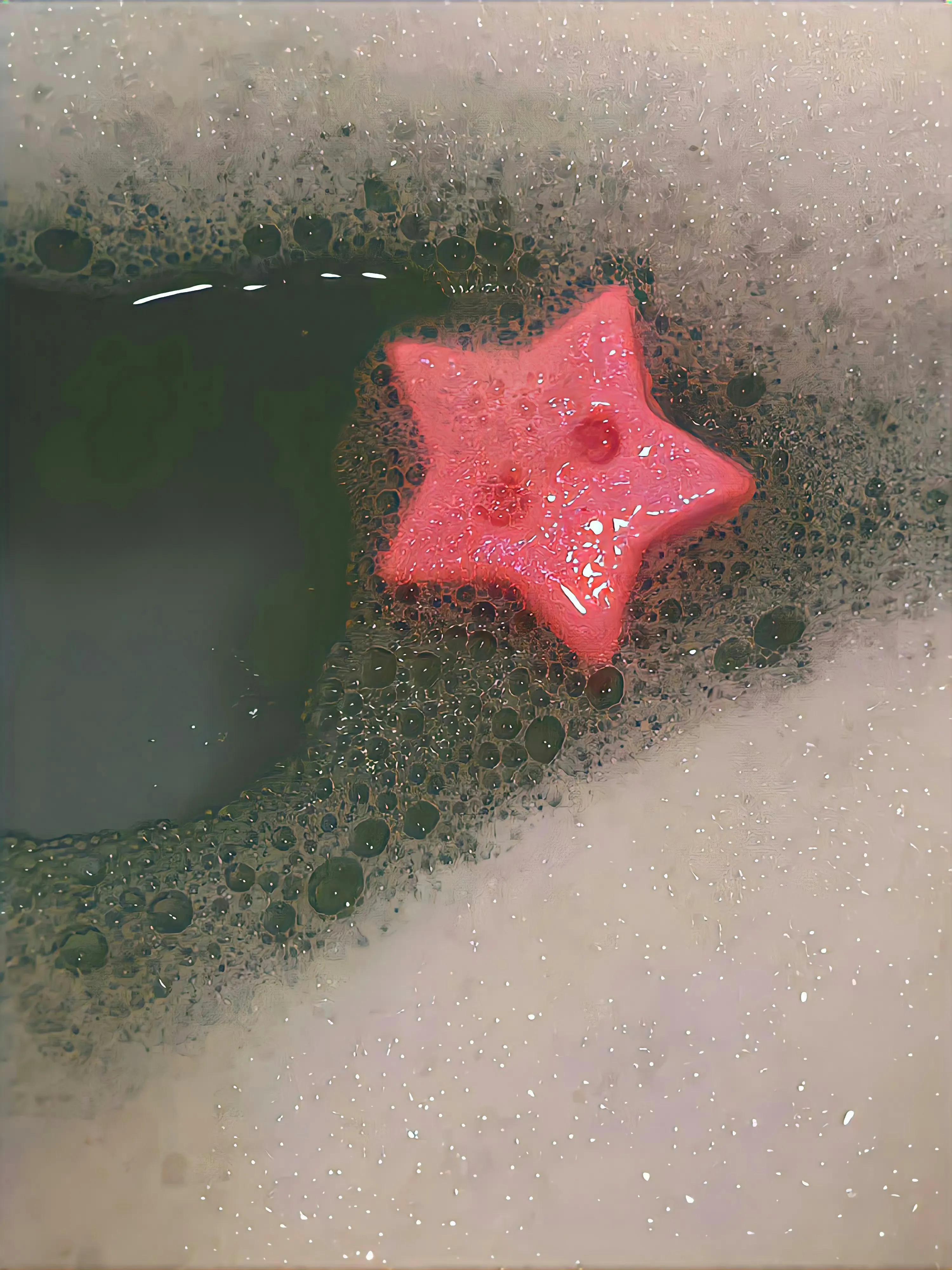 唯有热爱可抵万难背景图,朋友圈背景图爱迎万难