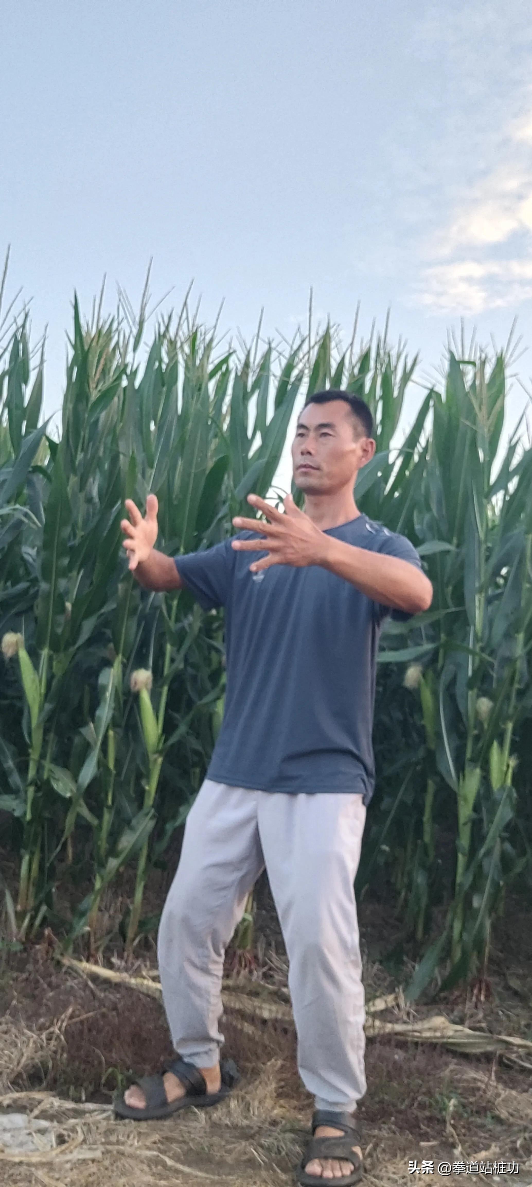 站桩似笑非笑什么状态,站桩怎么站达到似笑非笑的状态