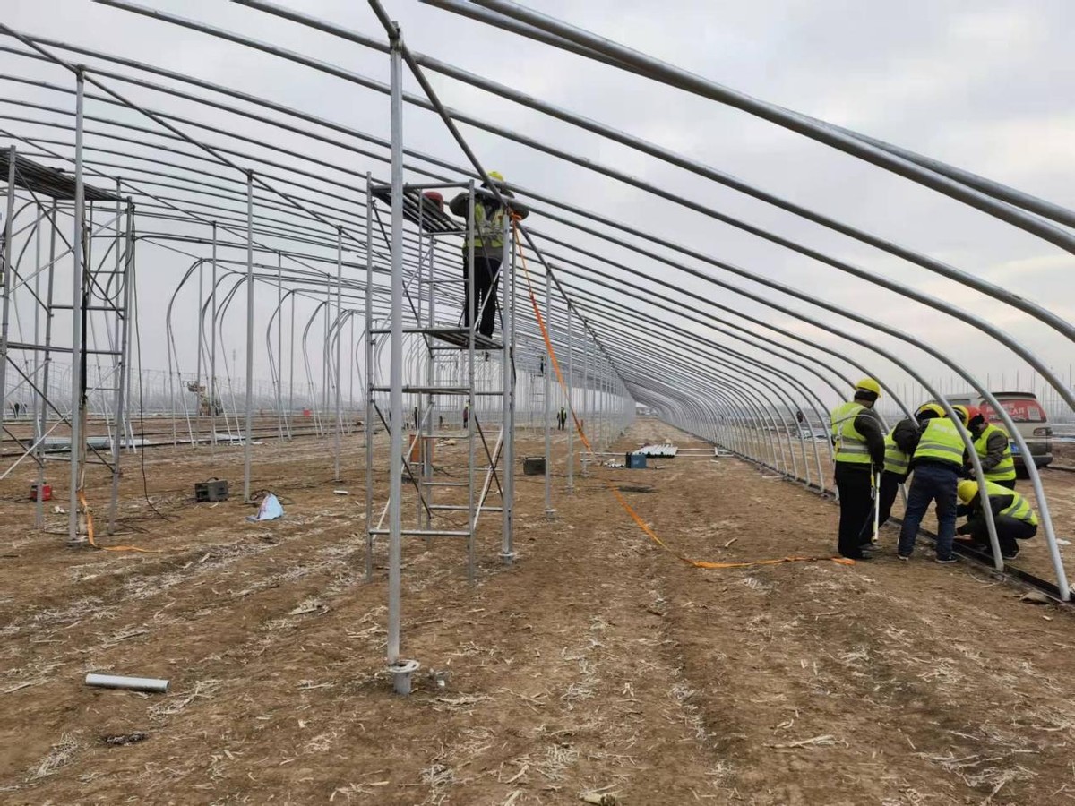 深学笃用天津行动丨年产值超10亿元！这里将崛起一座“致富基地”