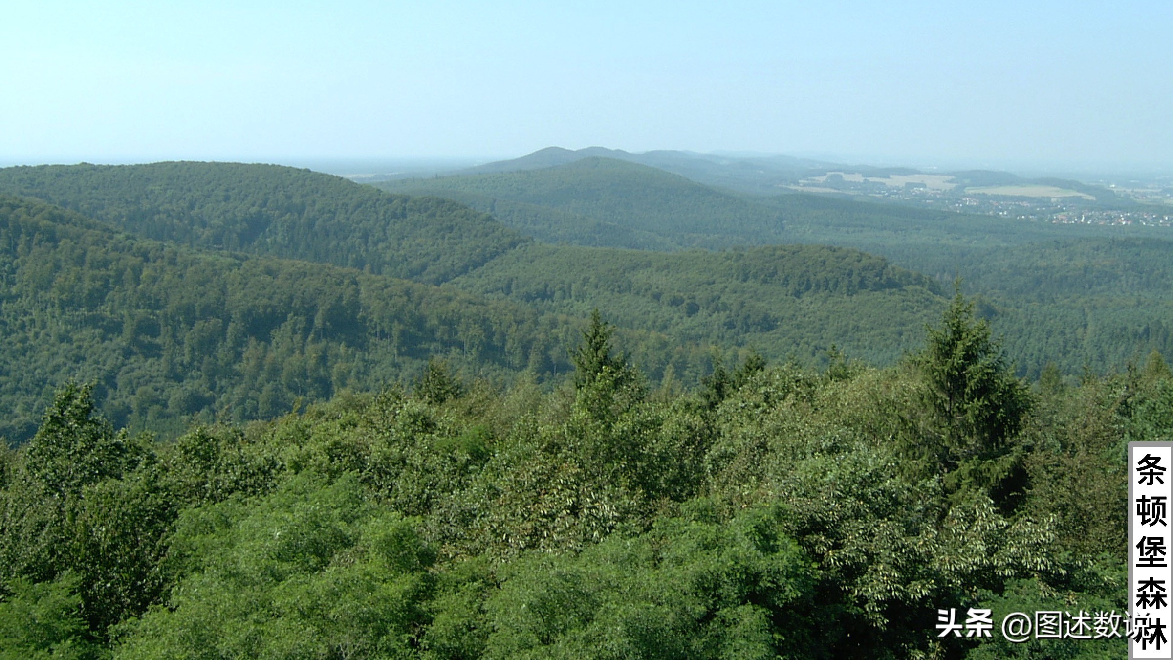 另有玄机是什么意思,德甲柏林联合对比勒费尔德