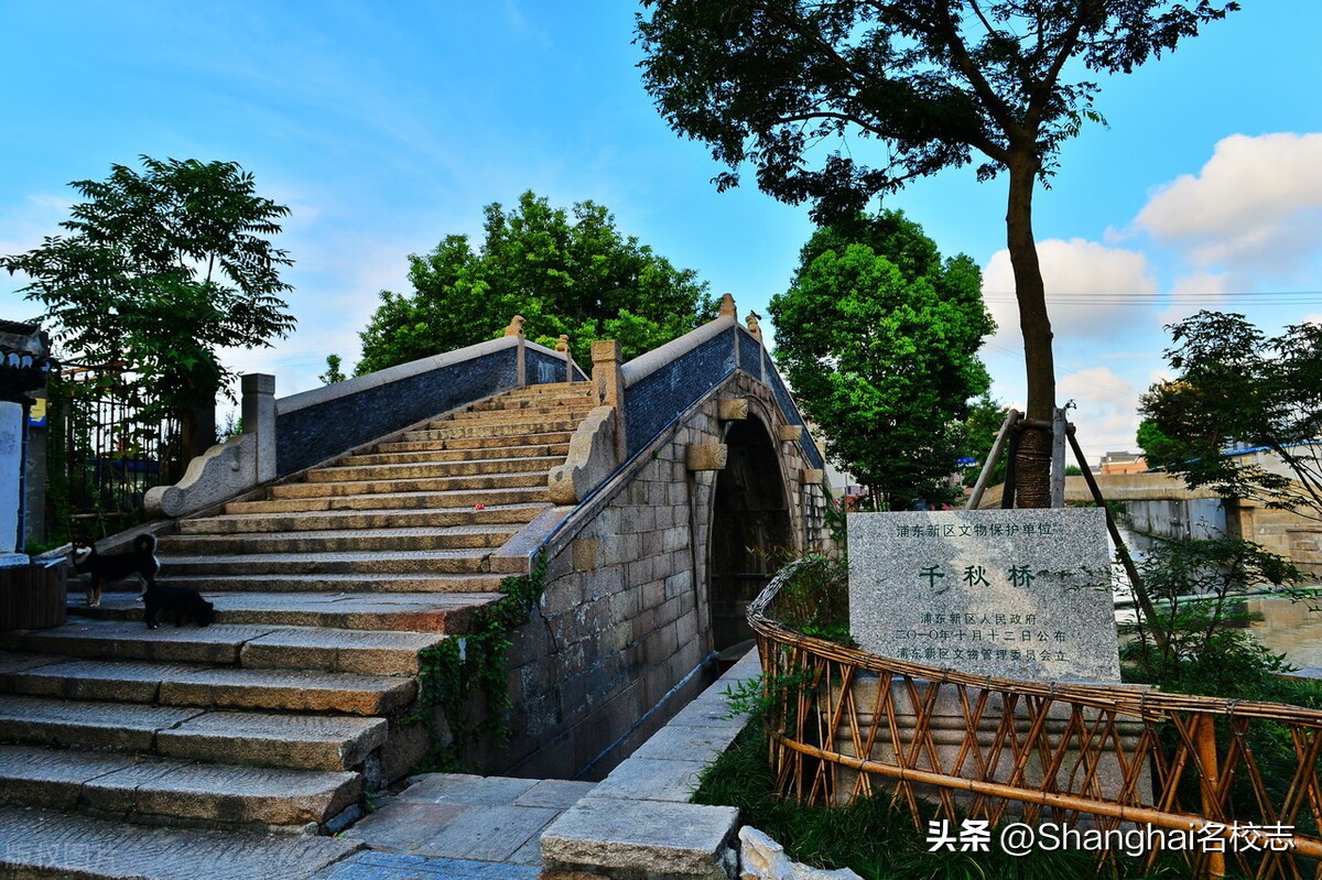 上海浦东中小学校长调整名单,上海中小学换校长名单