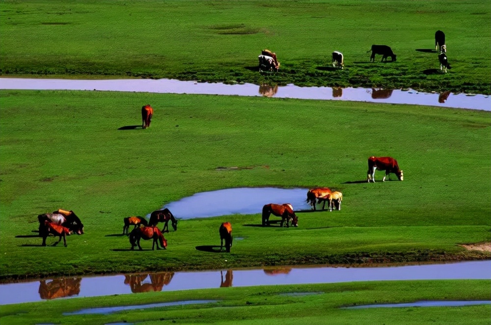 618宝妈囤货奶粉,奶粉囤货季