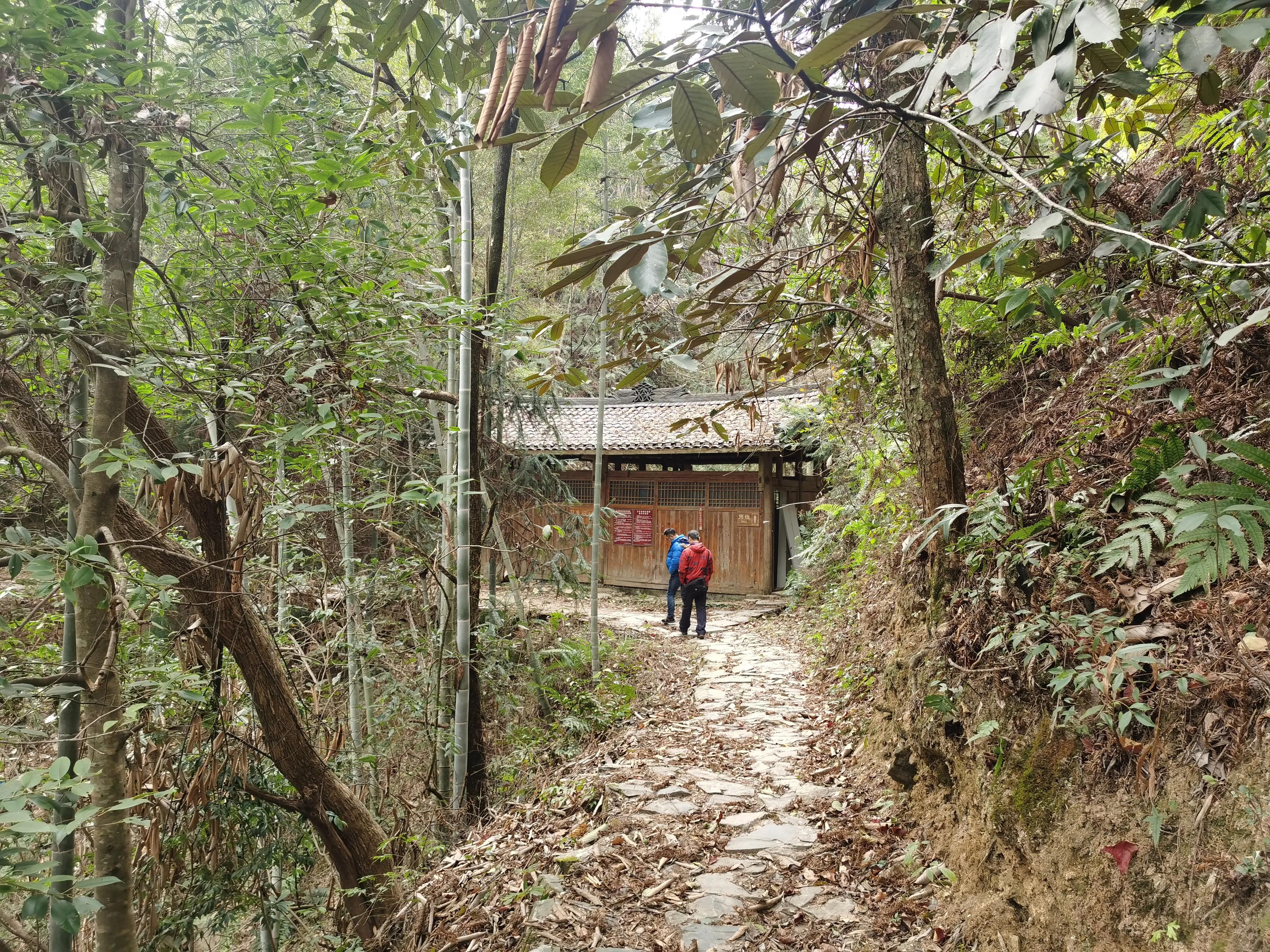 疫情中的成长与收获,疫情期间自己的收获和感受