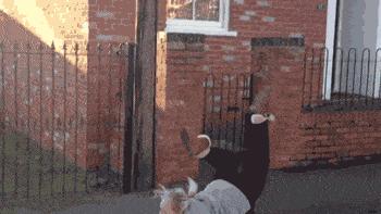 女孩子看起来外表美丽，其实裤袜已经掉到大腿根了！哈哈哈