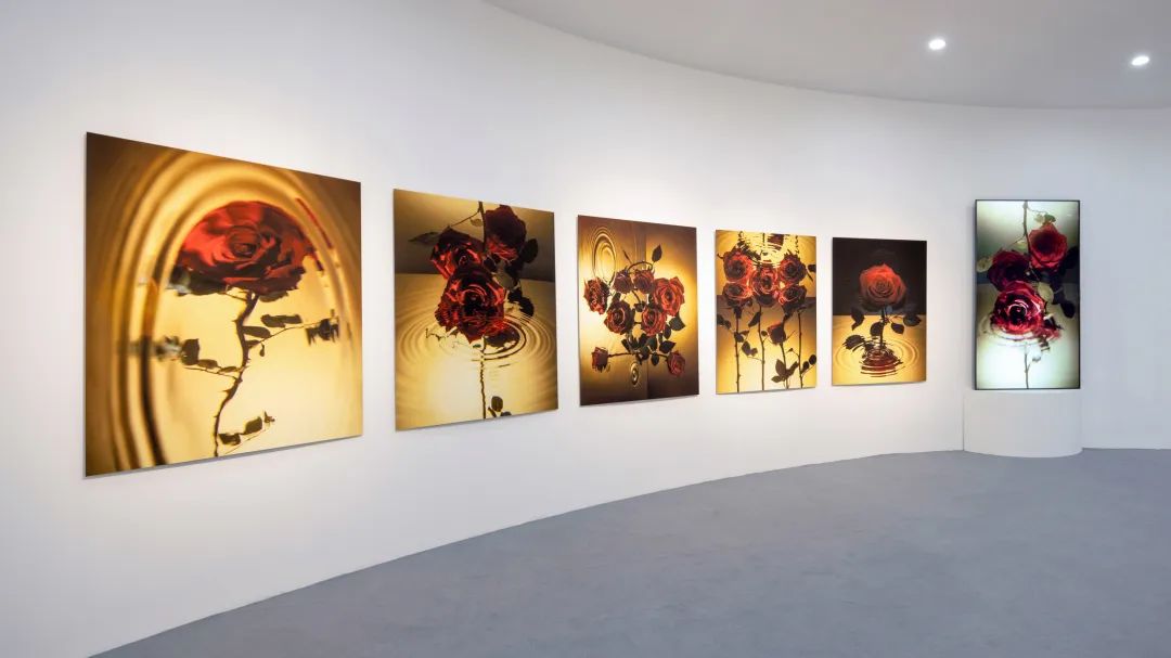 半个娱乐圈都来打卡的地方,半个娱乐圈都在打卡环球影城