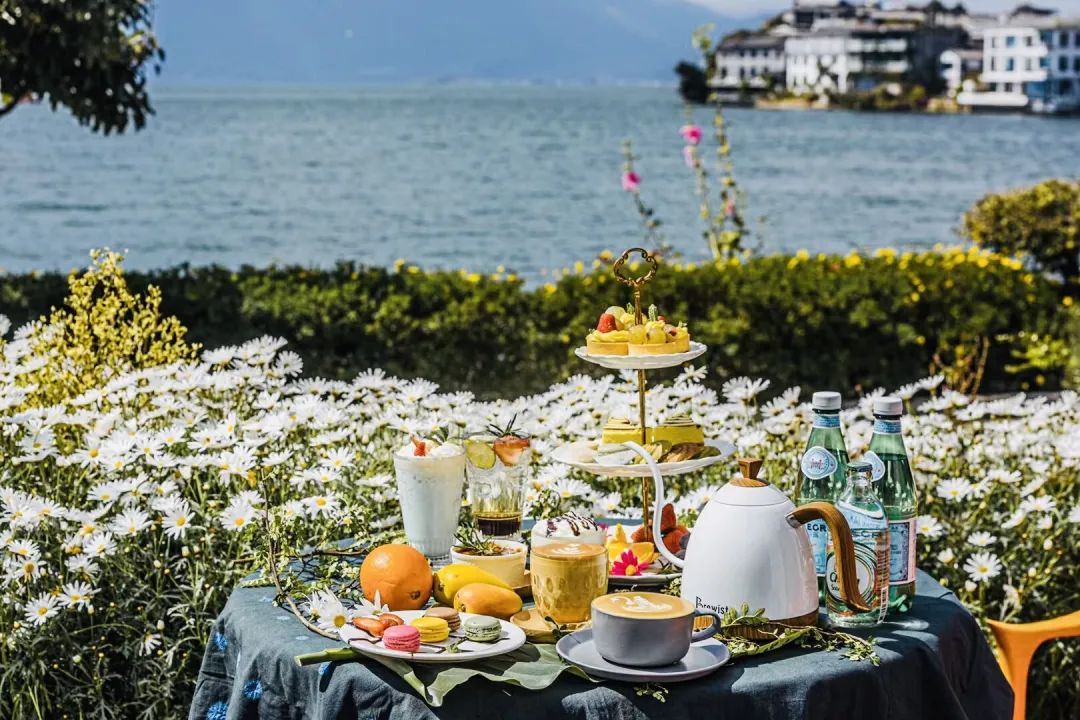 冬季洱海看海鸥最佳地方,这个冬天洱海该有多浪漫