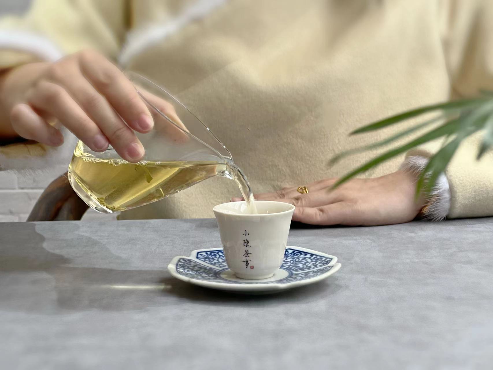 买茶100个经验,新手零基础买茶指南