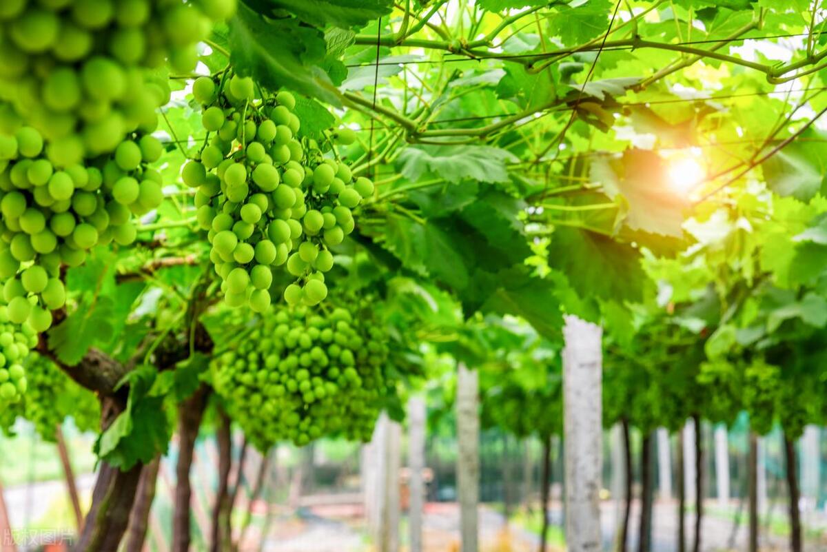 高利润小本创业项目,高利润小本生意创业项目