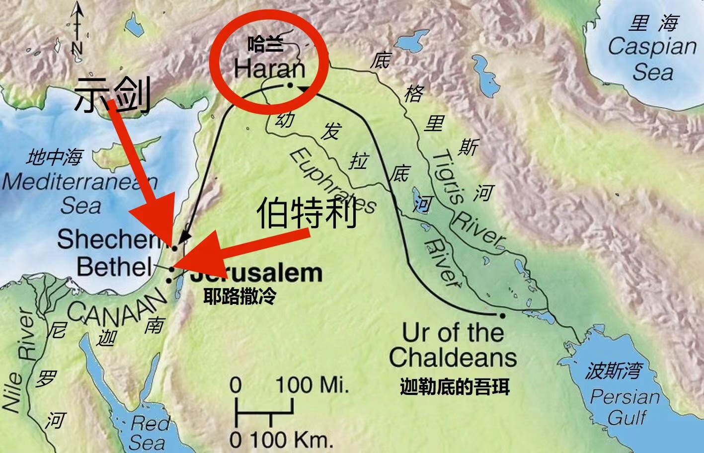 犹太人为什么跟阿拉伯人是两兄弟,犹太人与阿拉伯人是同一个种族吗