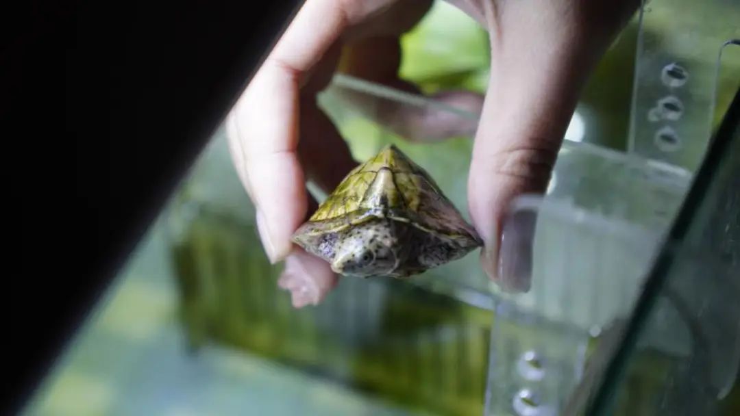 送外卖一个月拿2万块钱,送外卖一个月挣2w