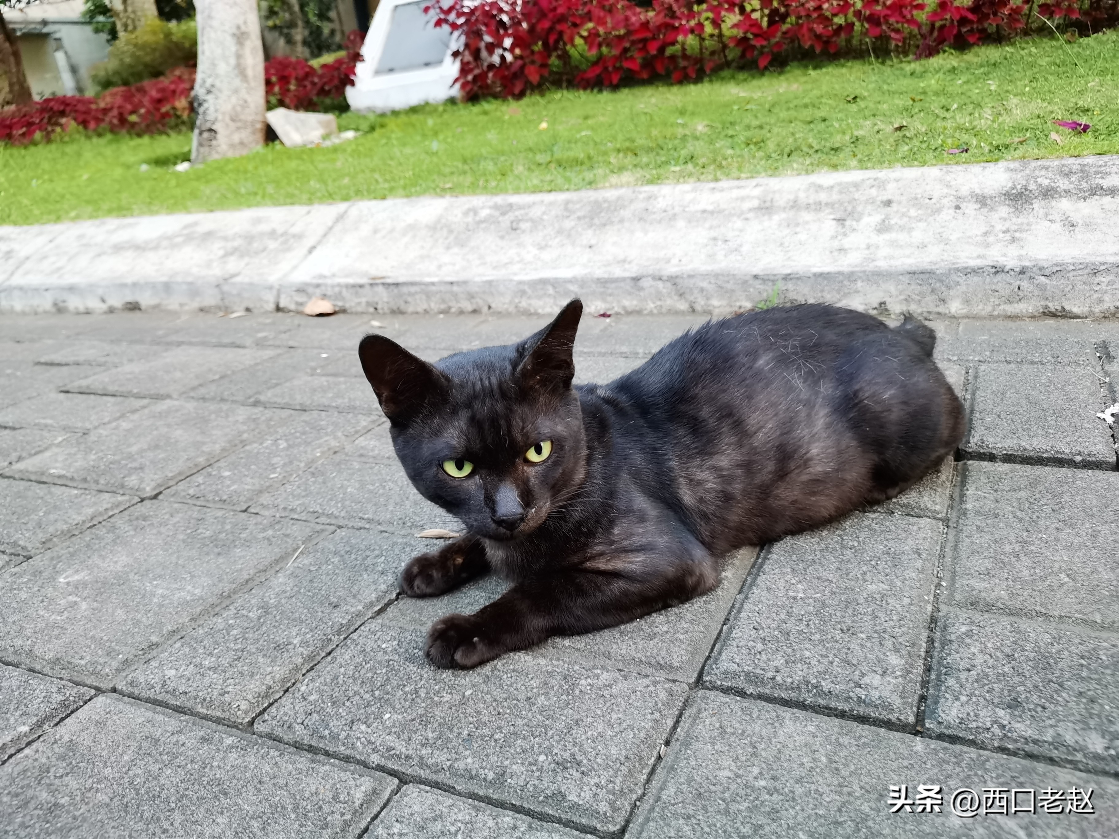 行走在国外的岁月33——致敬我的海外生涯