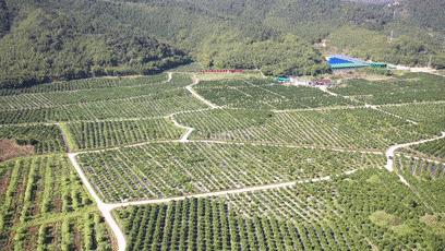 四会黄田镇有什么好玩的,四会太极湾