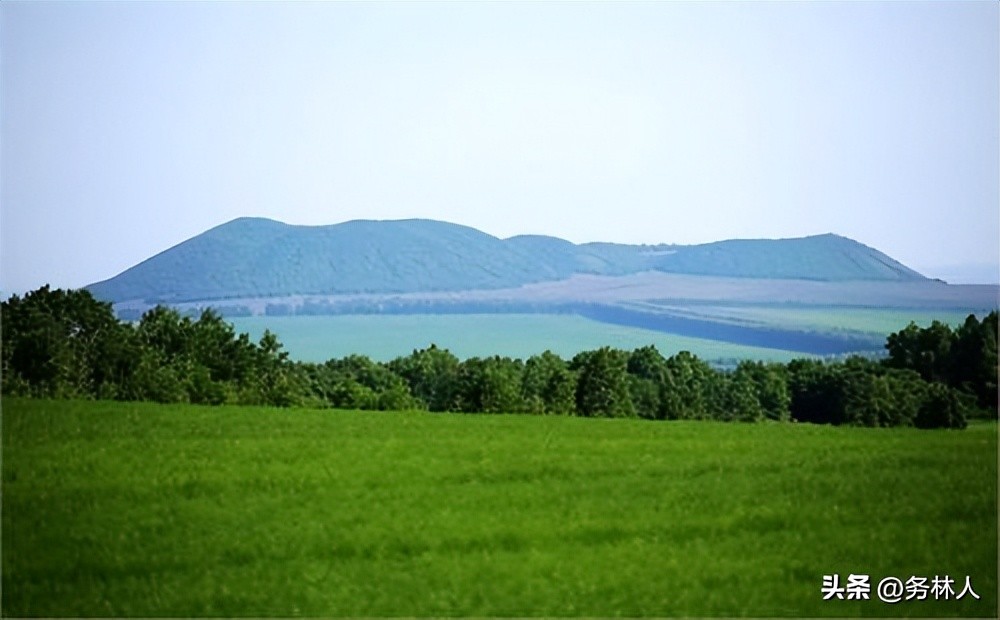 林业专业术语大全集,林业专业术语试题