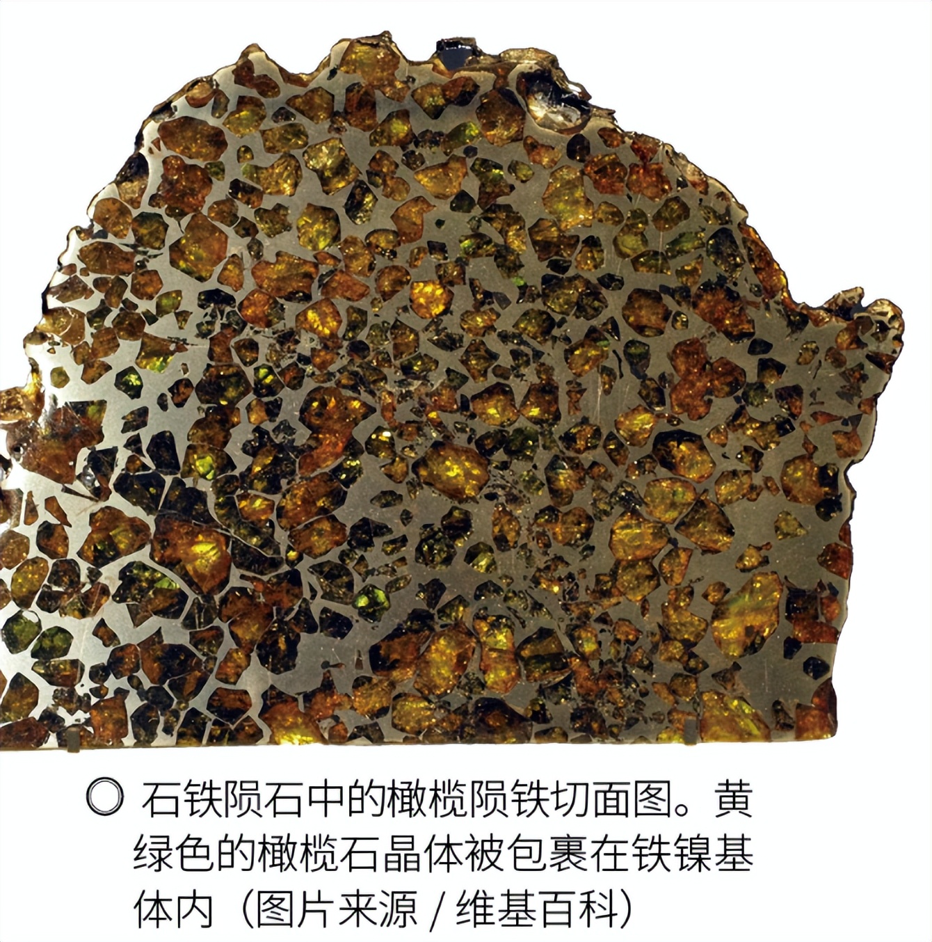 带你了解陨石的奥秘,陨石真的有那么厉害吗