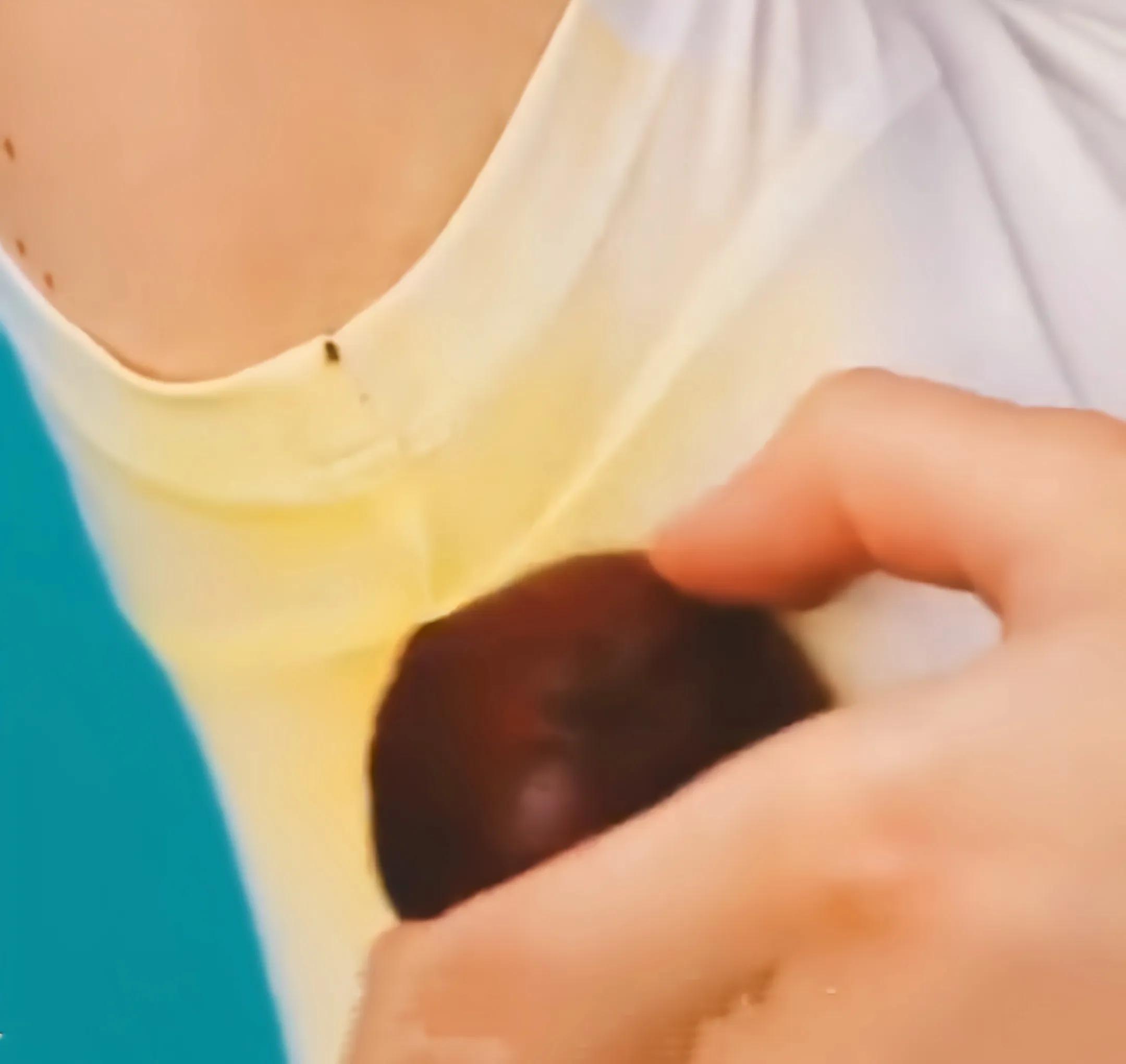 鞋柜除臭妙招快速高效,鞋柜除臭小窍门视频