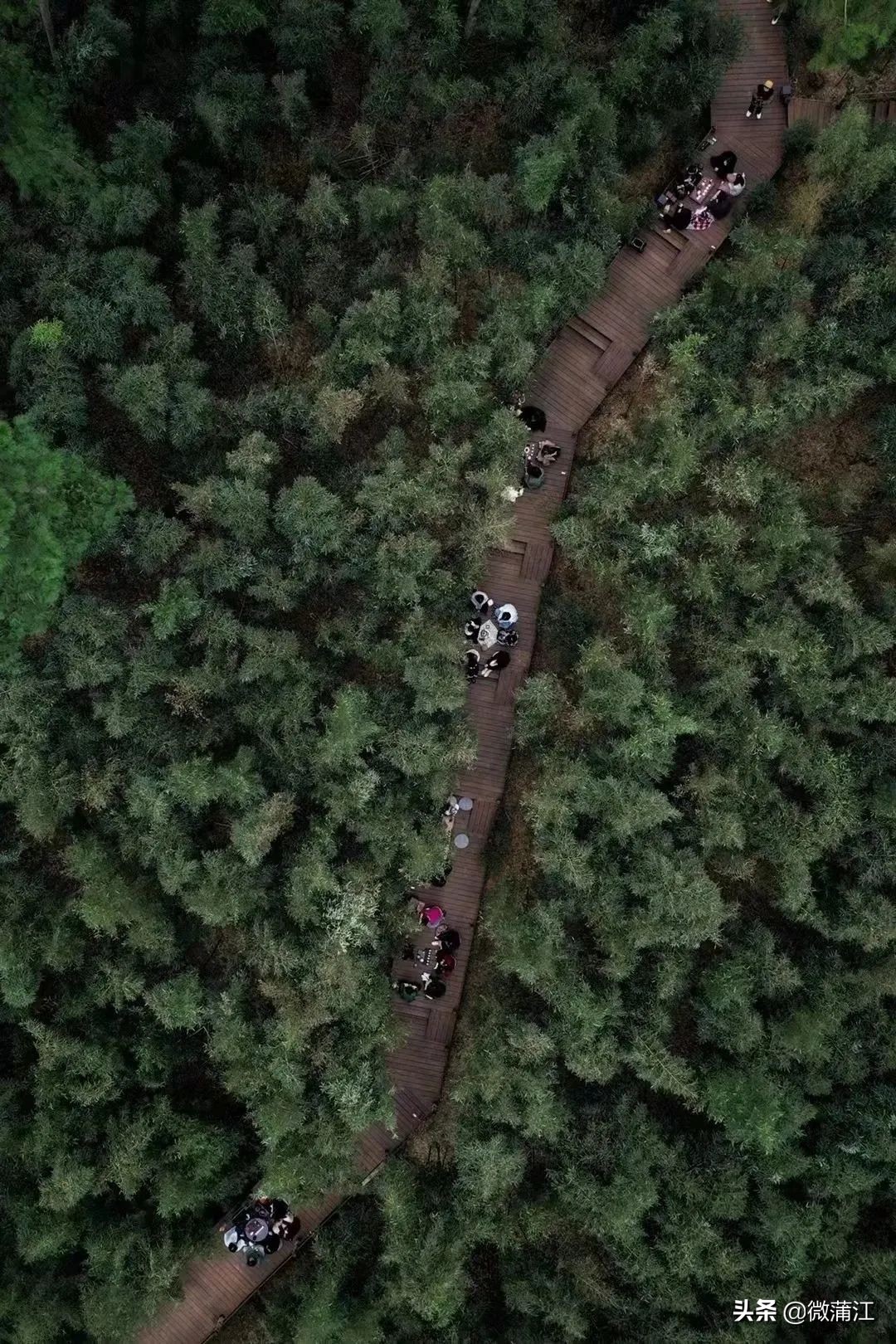 【新蒲江人】成都蒲江县乡村规划师邓小玲：扎根基层10年做乡村和规划之间的“桥梁”