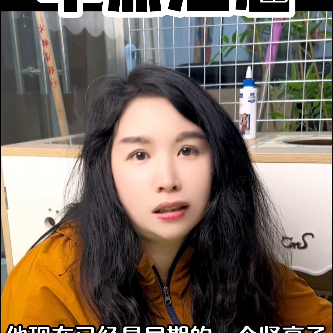 猫有轻微牙结石怎么清理,猫有牙结石刷牙管用吗