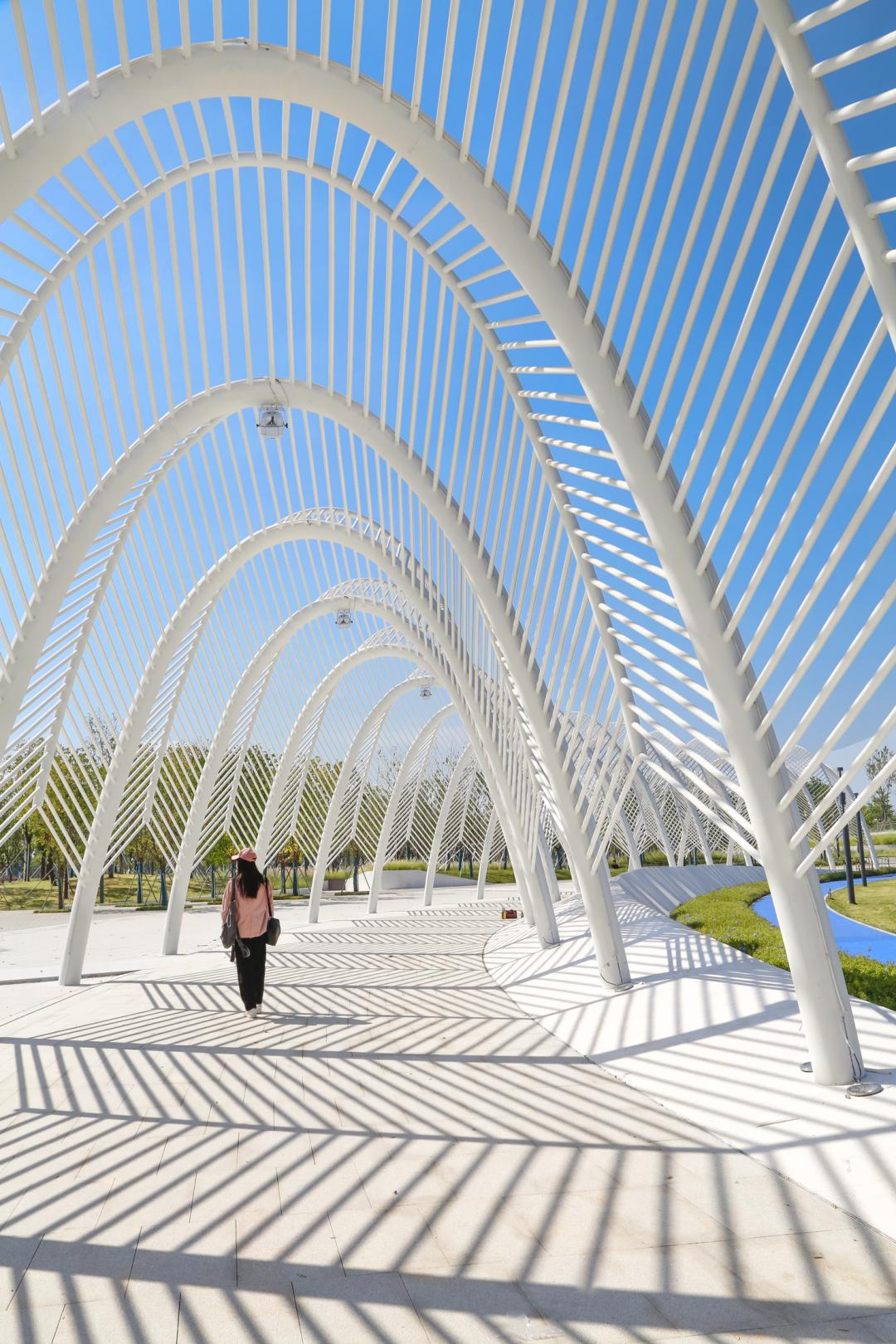 东莞滨海湾文体中心,东莞文体公园规划