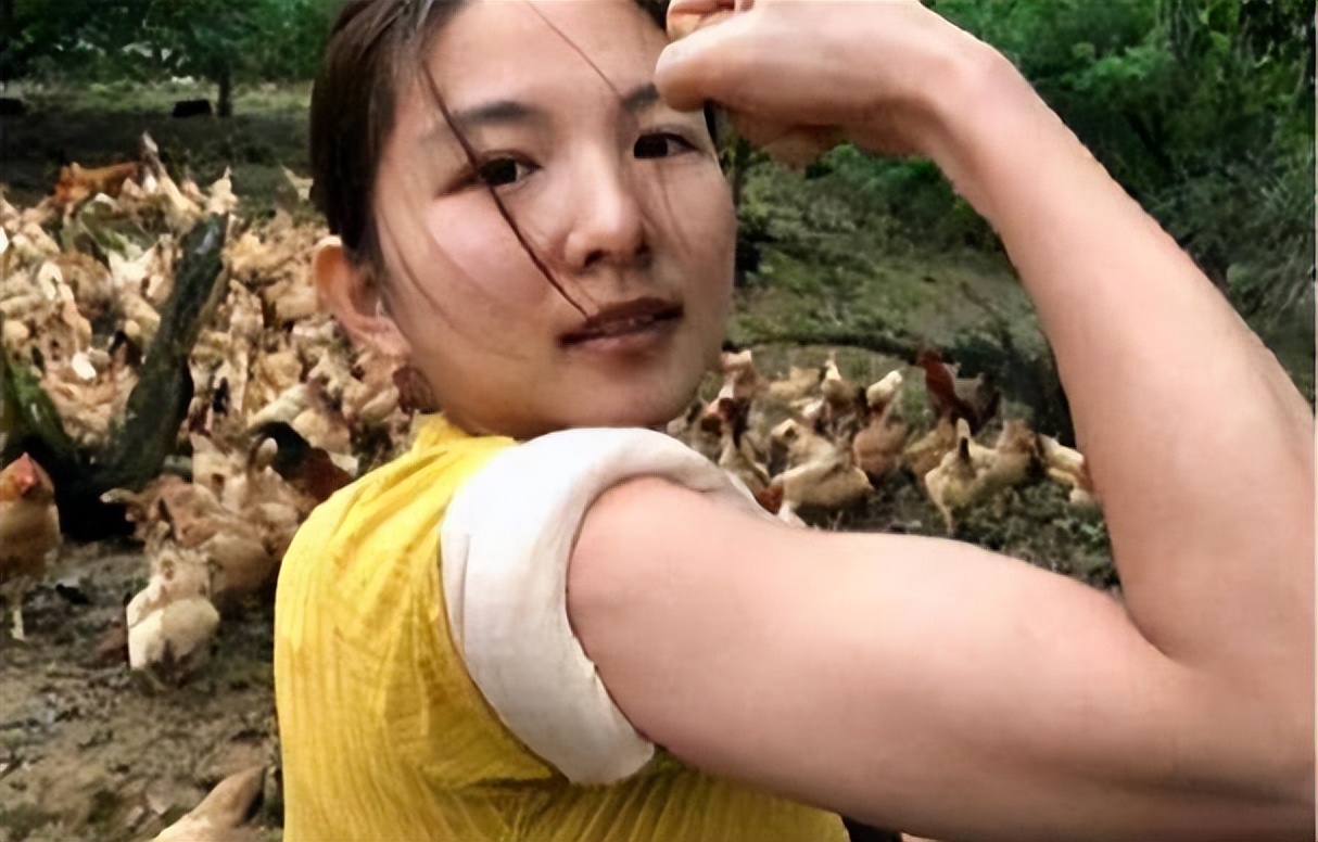 女子创业养鸡一年收入4000万,农村小伙赚1000万就靠在家养鸡