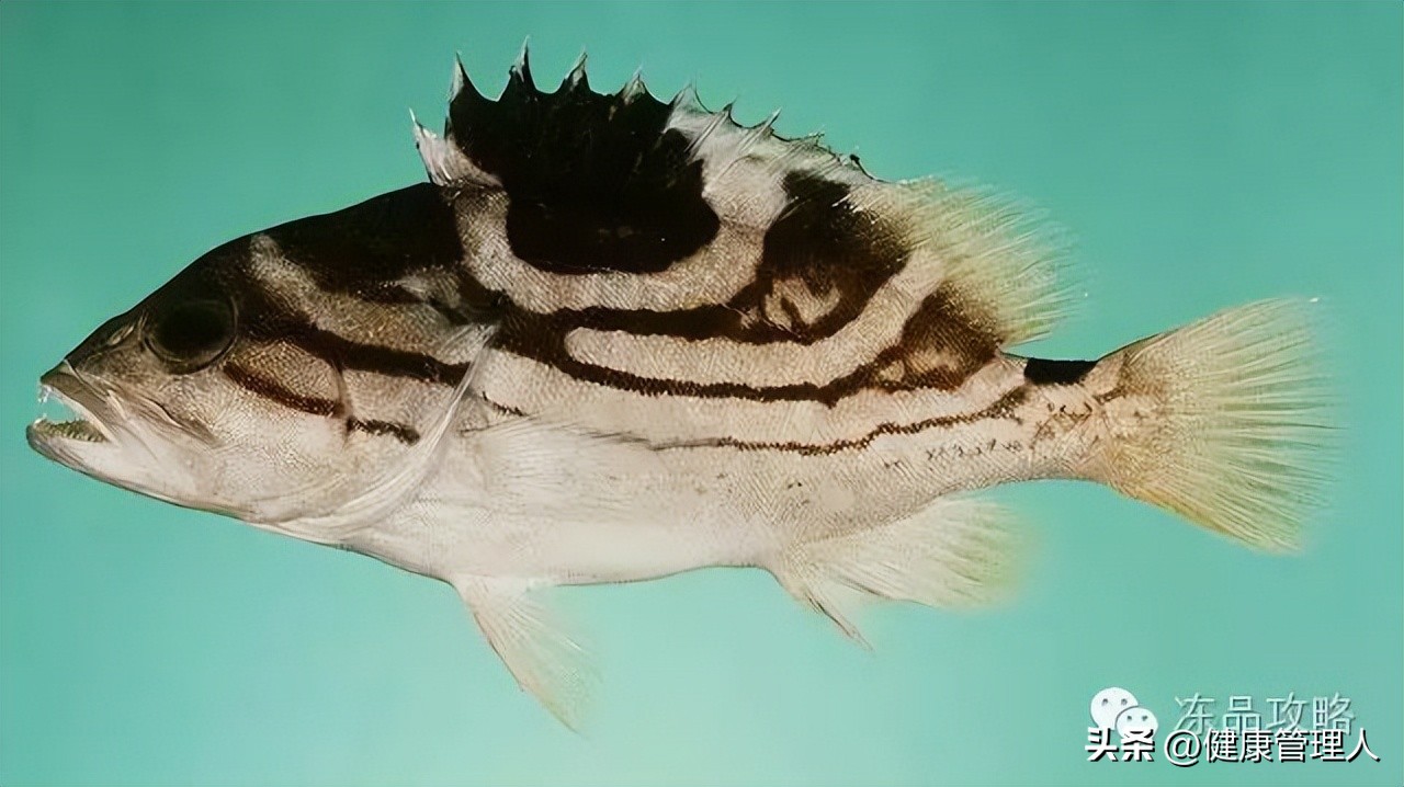 美容护肤食疗方案,美容护肤养生介绍