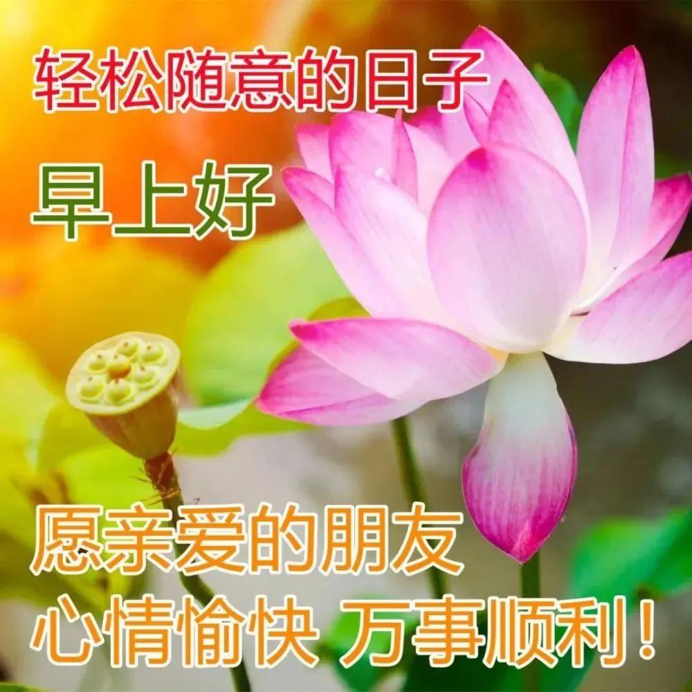 6月5日周一早安快乐！新的一天健康平安幸福安康图文