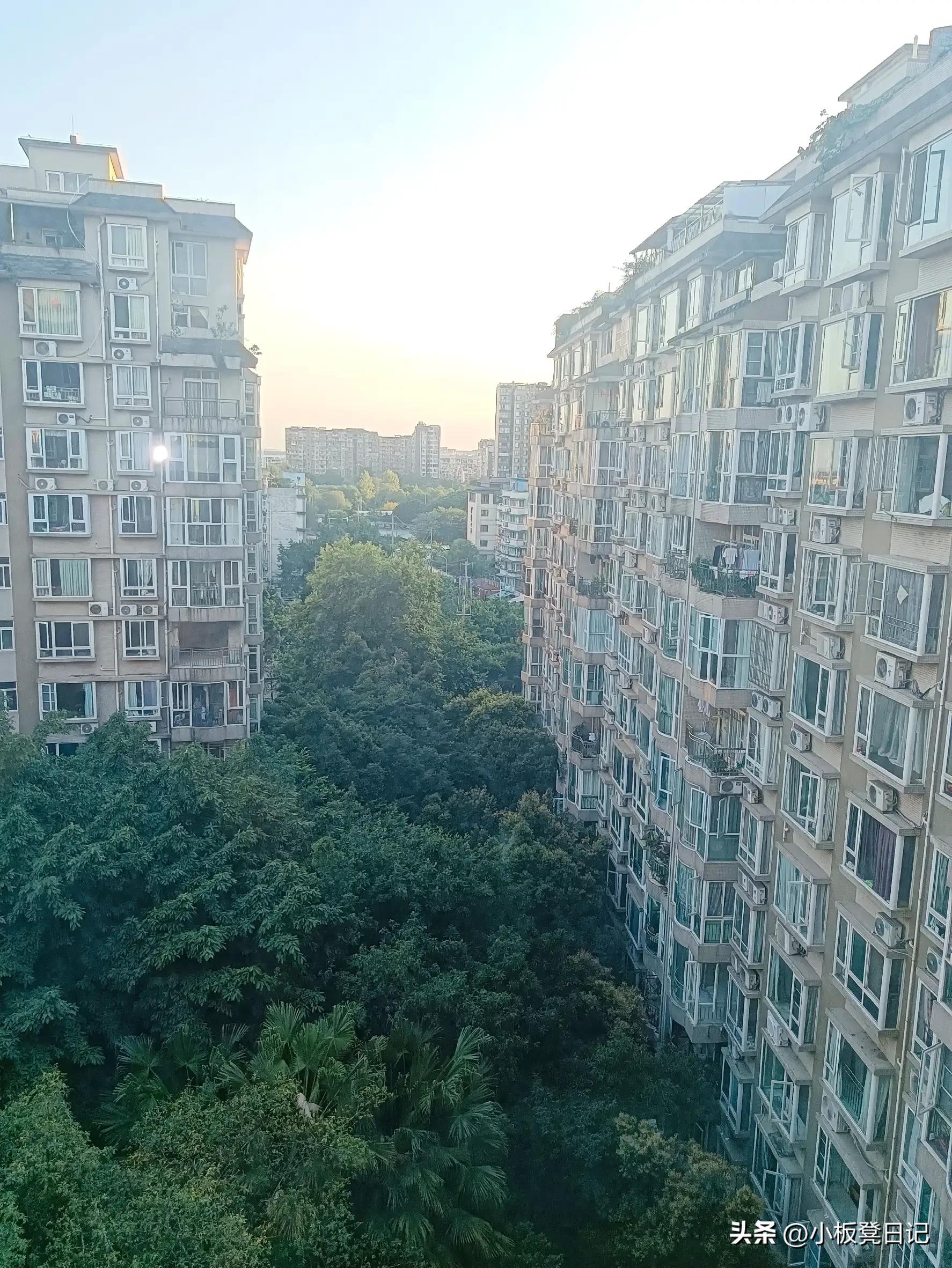 房东租给孕妇住好吗,为什么房东不愿意租给孕妈