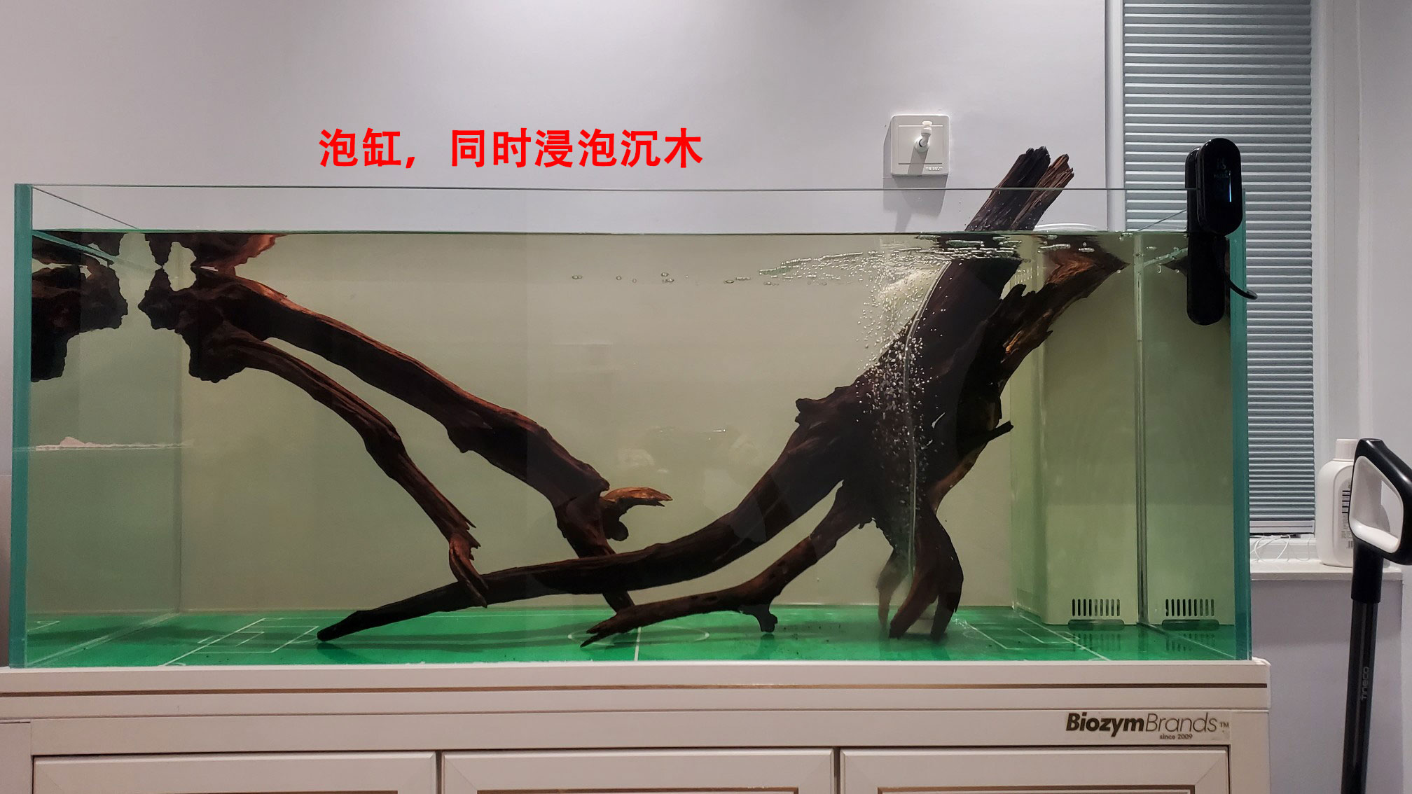 养鱼一定要开缸吗,新手养鱼开缸教程合集