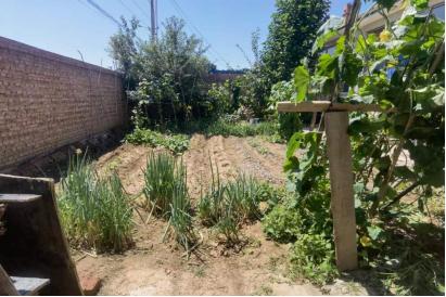 北京农村租院子的真实感受,到农村租房子有哪些注意事项