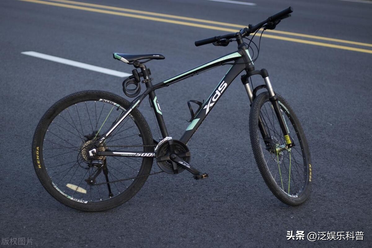 全世界十大知名自行车品牌排行图,当下哪个牌子的自行车最好