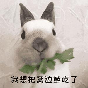 研究生导师真的很坑吗,研究生碰到的坑导师