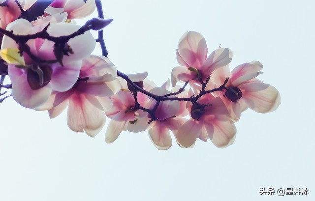 今年的女装尺码越来越小的好处,盘点服装女装尺码越做越小