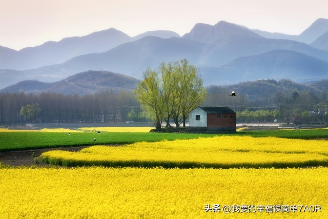 这样的亲戚还能好好相处吗,遇到这样的亲戚真无语