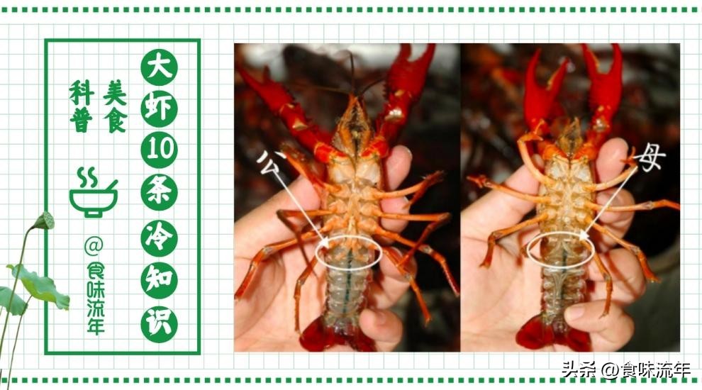 大虾最好吃的5种做法白灼虾,盐水虾正确的做法怎样做才好吃