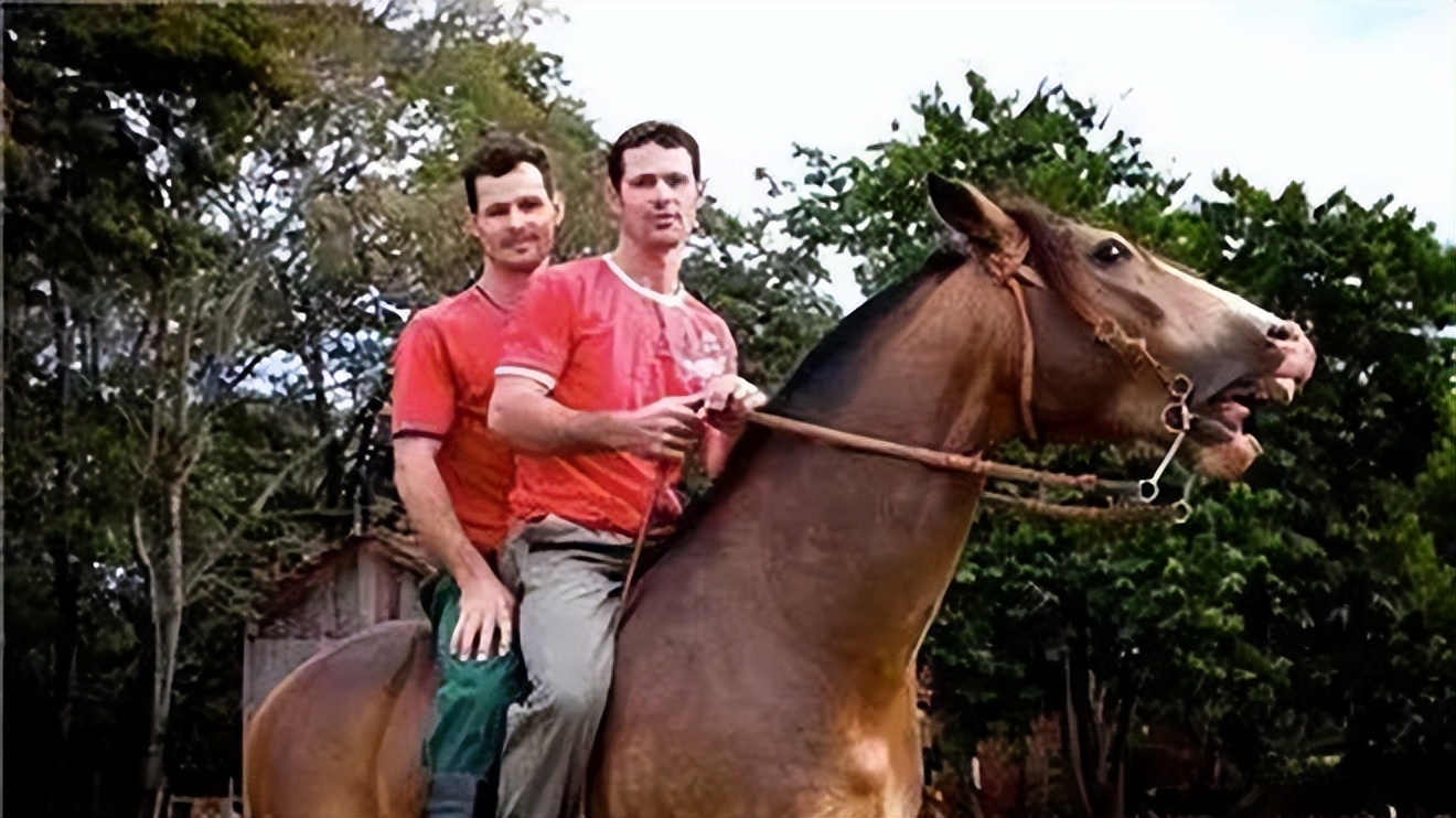 二战时期德国纳粹实验,二战德国最恐怖实验