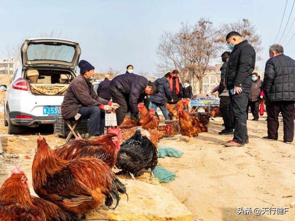 汽车投稿作品欣赏,汽车征文获奖