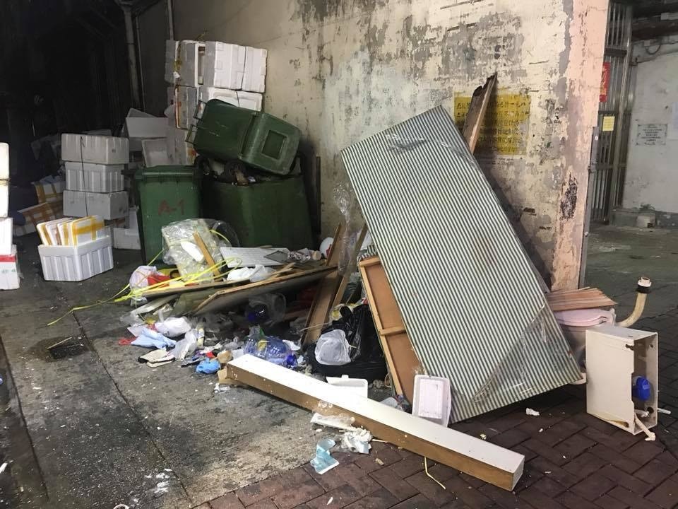 老鼠变少的原因是什么,为什么老鼠变少了