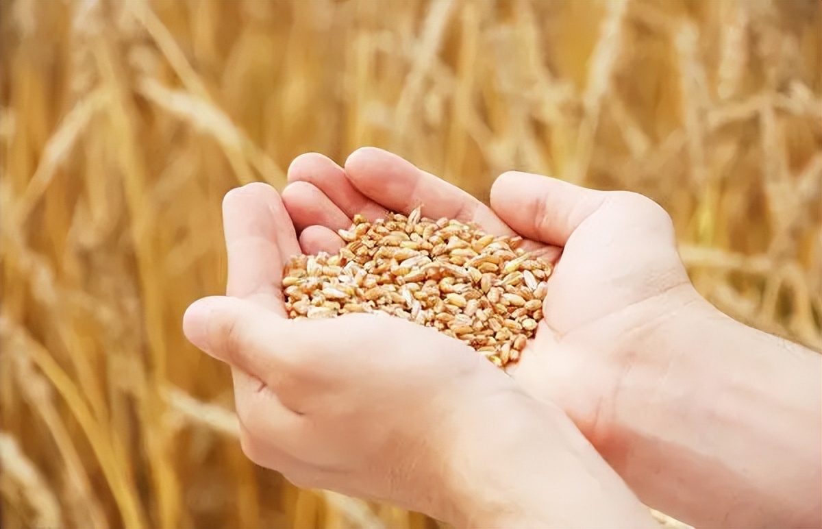 假货横行“割韭菜”,是真货暴利还是假货暴利