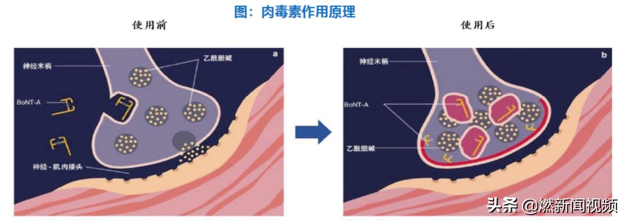 毛利率堪比茅台的上市公司,毛利率超茅台的十家稀缺公司