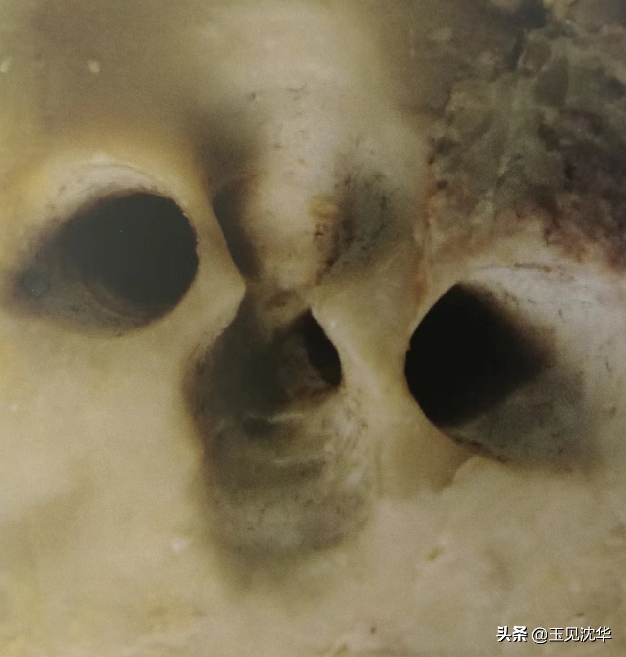 中国玉文化之红山玉器,红山文化玉器的各类造型