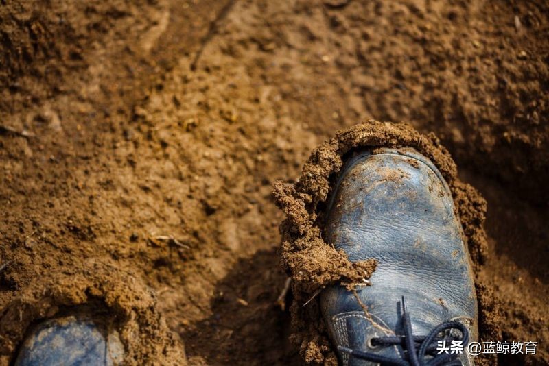 豆神教育和字节跳动,豆神教育字节跳动