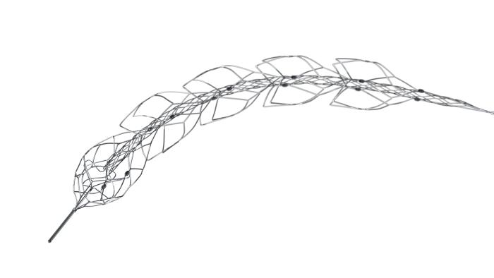 倒计时4天！提前“打卡”强生进博会重磅看点