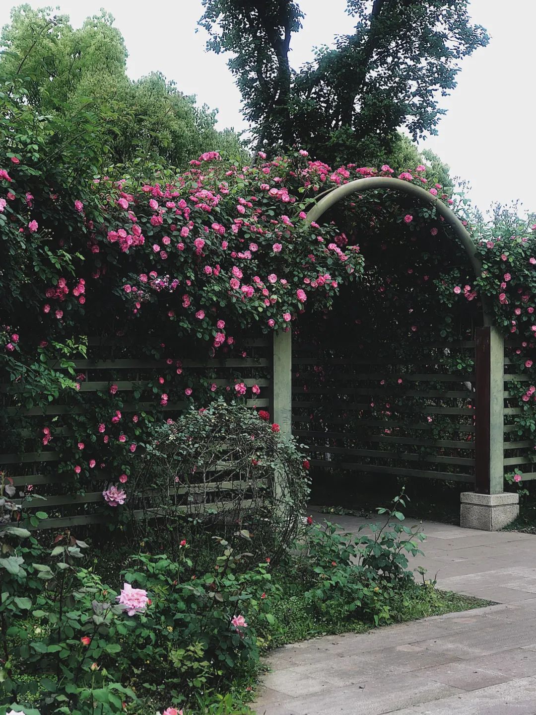 听我的，四月的杭州才是浪漫天花板。