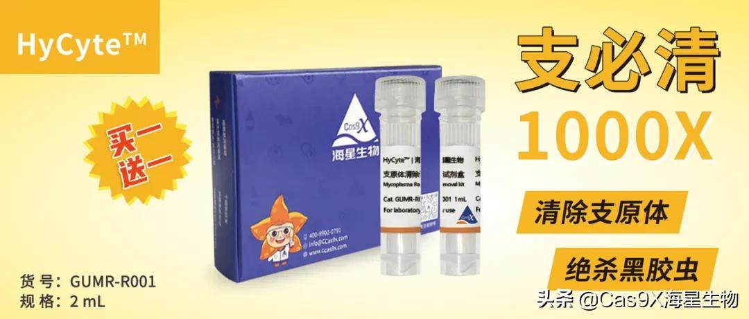 支原体的检测方法,支原体的检测方法常用